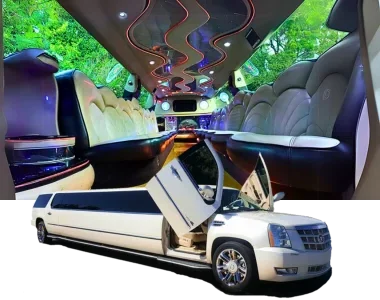 Cadillac Escalade Luxury Butterfly Door